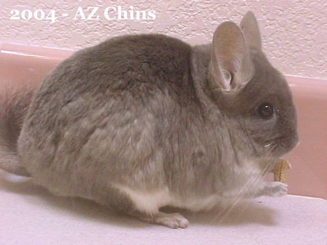 April - Violet Female