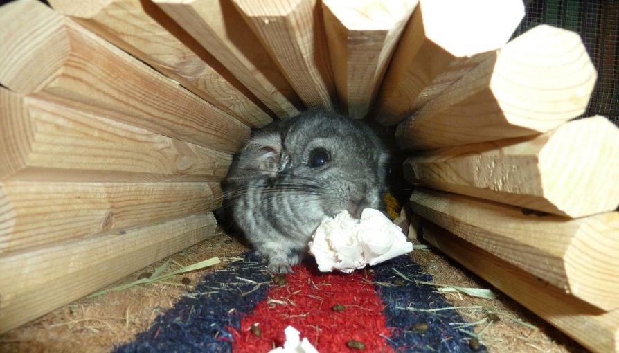 Solaballtunnel.jpg (91180 bytes)