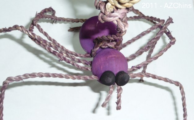 Spider.jpg (38383 bytes)