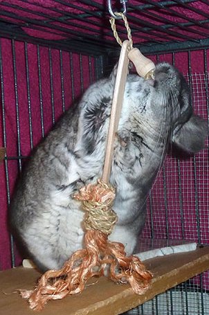 broomhandbag.jpg (44728 bytes)