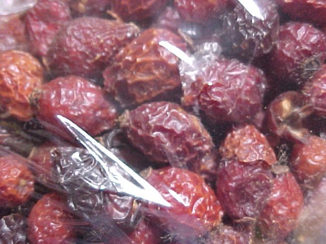 rosehips.jpg (68380 bytes)